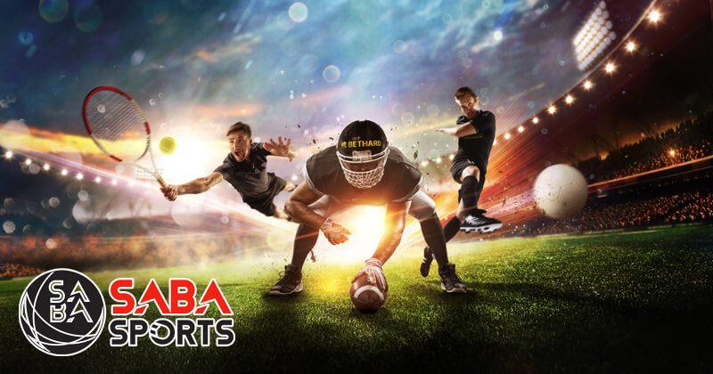 Panduan Lengkap Bermain Saba Sport untuk Semua Usia